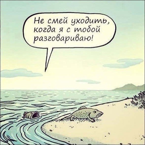   - 8  2015  12:22
