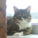 ���� ������, ������, 72 ���� - ��������� 29 ����� 2015 � ������ ���� ����������