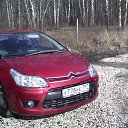 ���� ������, ������, 41 ��� - ��������� 19 ������ 2015