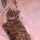 ���� ����������, ������ ��� - ��������� 14 ������ 2015