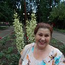 ���� ����, ���������, 78 ��� - ��������� 13 ������ 2015