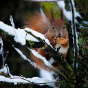 ���� ����, ������ - ��������� 10 ������ 2015