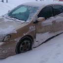 ���� � ��������!))) �� ������� ���� ����������