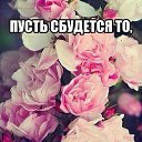 ���� �����, ���, 40 ��� - ��������� 16 ����� 2015 � ������ ���� ����������