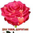 ���� ���, ������ - ��������� 8 ������� 2015 � ������ ��������!�