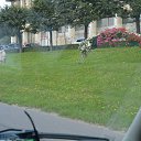 ���� ����, �����-���������, 56 ��� - ��������� 20 ������ 2015 � ������ ���� ����������