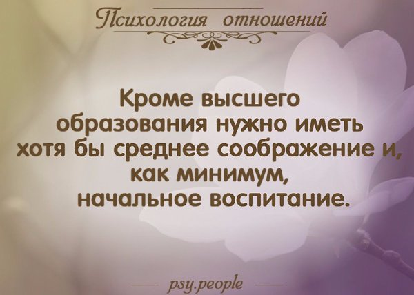 Кроме высшего. Кроме высшего образования нужно. Кроме высшего образования надо иметь. Кроме высшего образования нужно иметь хотя. Высшее образование среднее соображение и начальное воспитание.