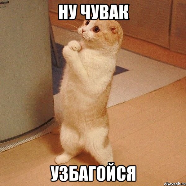 4emodan Podarok - 29 декабря 2014 в 18:22