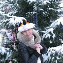  , -, 55  -  11  2015