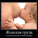 ���� ������, �����������, 54 ���� - ��������� 15 ������ 2015 � ������ ���� ����������