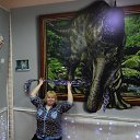 ���� ���������, �����������, 41 ��� - ��������� 22 ������� 2015 � ������ ���� ����������