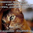 ����� ��� ����� ������ ��� ����! �� ������� ���