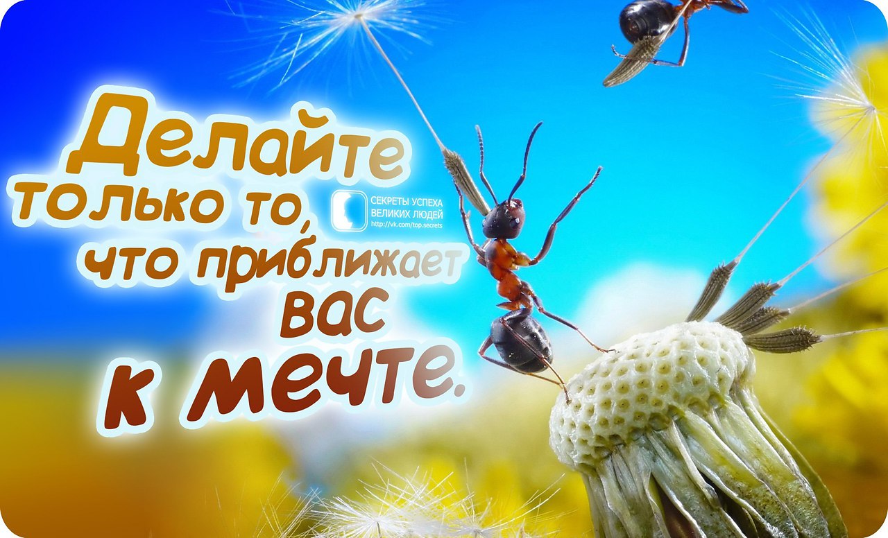     - 11  2015  20:05