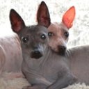 ���� ������, ������, 64 ���� - ��������� 9 ������ 2015 � ������ ������ ��������