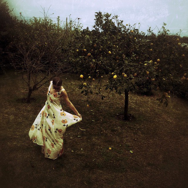 Dancing with a lemon tree @paulandjoeparis #paulandjoe @showroomlilu