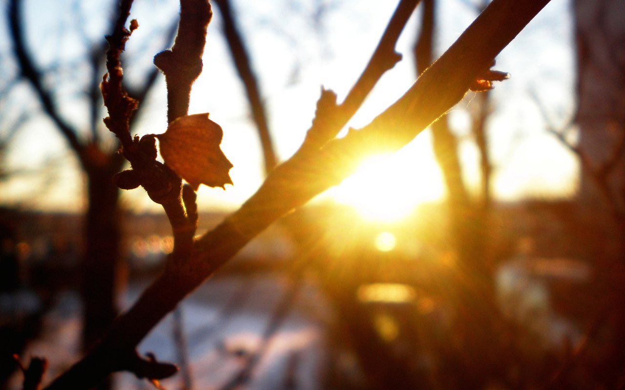 ������������ �� ������� - 11 ������ 2015 � 20:14 - 4