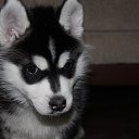 ���� ������, �����, 26 ��� - ��������� 20 ����� 2015 � ������ ��������