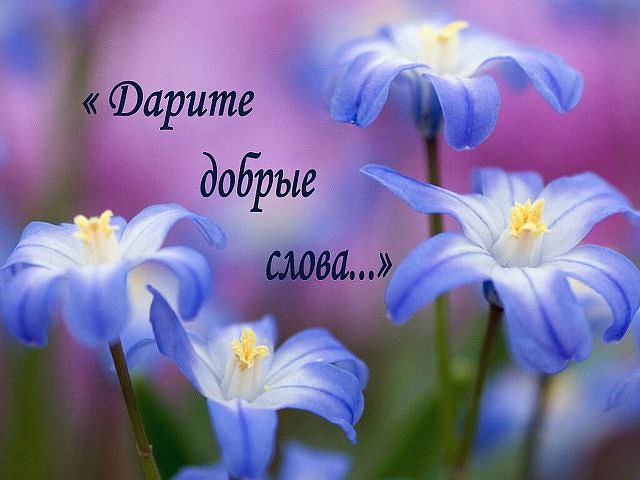 ����� - 25 ������� 2015 � 16:31