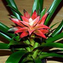 ���� ��������, ��������, 73 ���� - ��������� 26 ������� 2015 � ������ ��������-��������