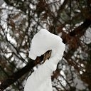 ���� Svann, ���������, 71 ��� - ��������� 19 ������ 2015 � ������ ������ �������!�