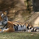 ���� Evgeniya, ����������, 40 ��� - ��������� 16 ������ 2015 � ������ ���� ����������