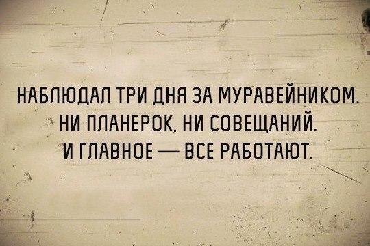       ! <a href=