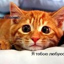���� ������, ����� - ��������� 3 ������� 2015 � ������ ������ ��������