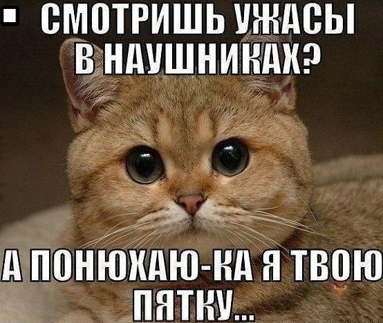        ! <a href=