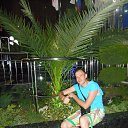 ���� ������, ����, 44 ���� - ��������� 19 ������ 2015 � ������ ���� ����������