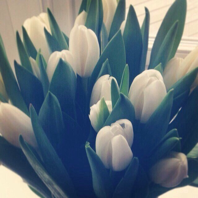   |  |  - 18  2015  23:03 - 3