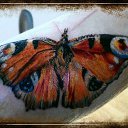 ���� �����, ������ - ��������� 6 ������ 2015 � ������ �������