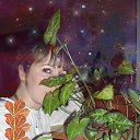 ���� �����, ���� - ��������� 8 ������ 2015 � ������ ���� ����������