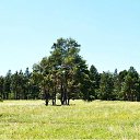 ����������� �.�������� �� ������� ��� �����������