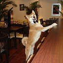 ���� ������, �������, 25 ��� - ��������� 30 ������ 2015