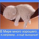 ���� �����, ������, 55 ��� - ��������� 28 ����� 2015 � ������ �������