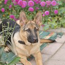 ���� Leonid, ������, 64 ���� - ��������� 28 ������ 2015 � ������ ���� ����������