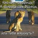 ���� ����������, �����������, 46 ��� - ��������� 9 ������ 2015 � ������ ���� ����������