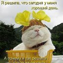 ���� Elena, ������, 54 ���� - ��������� 12 ������ 2015 � ������ ������ ��������