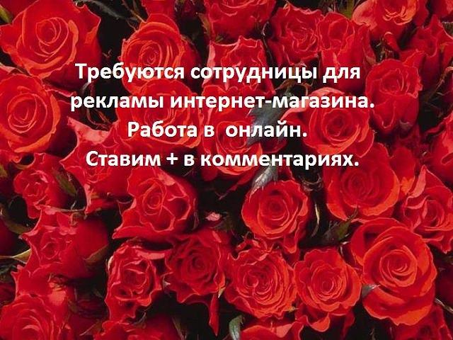 ��������-������� - ������-������ - 17 ������� 2014 � 21:12