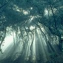 ���� Sergei, ���������, 62 ���� - ��������� 1 ������� 2015 � ������ ���������