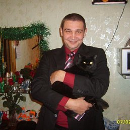 ������, ���������, 51 ���