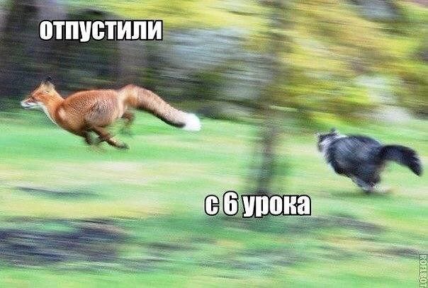  - 17  2015  06:04
