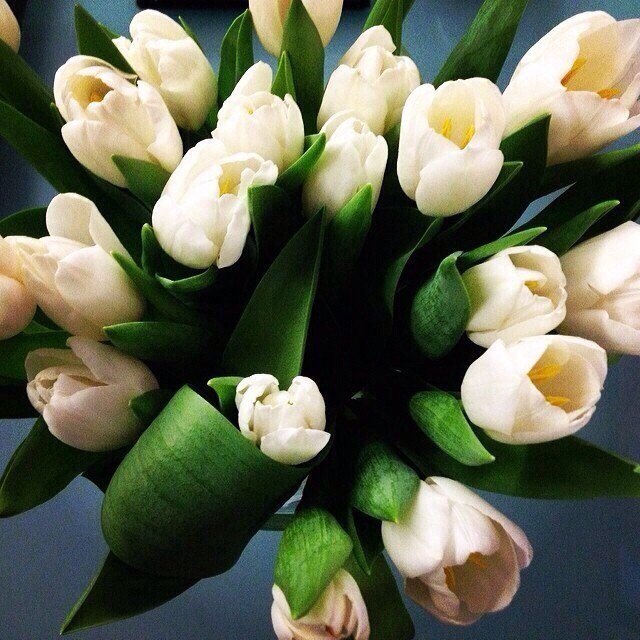   |  |  - 18  2015  23:03 - 6