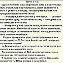 ���� �������, ��������� - ��������� 10 ������� 2015 � ������ ������ ��������