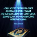 ���� ���������, ������ - ��������� 29 ������� 2014 � ������ ������ ��������