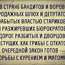 ���� �����, �����-���������, 46 ��� - ��������� 28 ������� 2015 � ������ ������ ��������