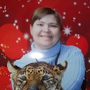 ���� ����� ��������, ������, 44 ���� - ��������� 23 ����� 2015 � ������ ������ ��������