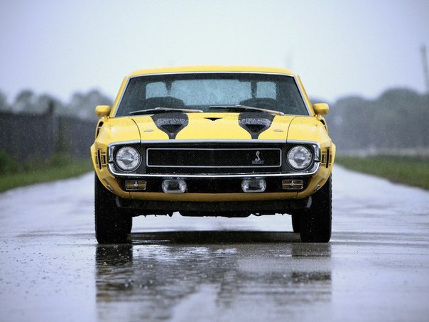 Shelby and Ford Mustang - 7