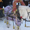 ���� �������, ������������, 58 ��� - ��������� 2 ������ 2015 � ������ ���� ����������