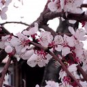 ���� �����, �����-������, 46 ��� - ��������� 14 ������ 2015